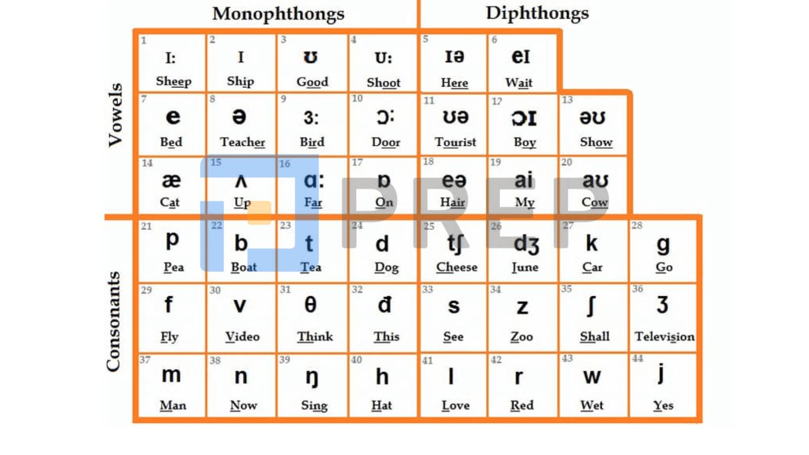 Standard IPA English pronunciation rules